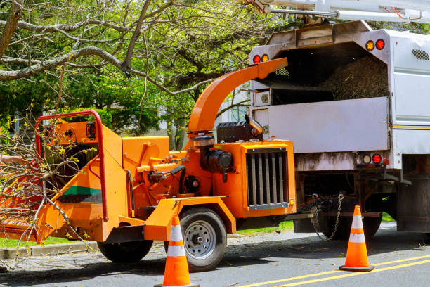 Best Tree and Shrub Care  in Jamesburg, NJ